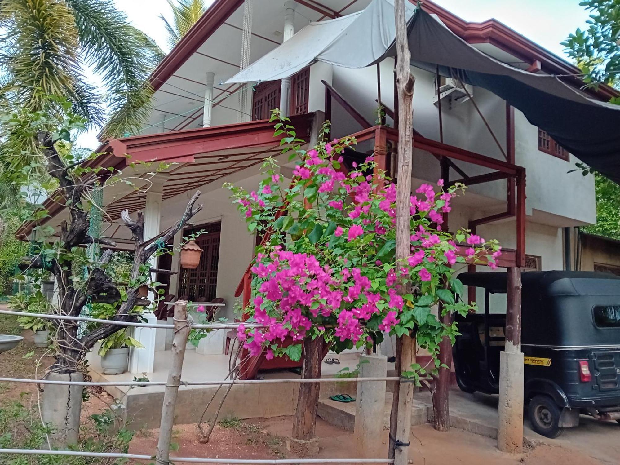 Yaluwa Tourist Rest & Cooking Class أنرادابورام المظهر الخارجي الصورة