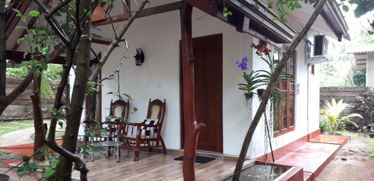 Yaluwa Tourist Rest & Cooking Class أنرادابورام المظهر الخارجي الصورة